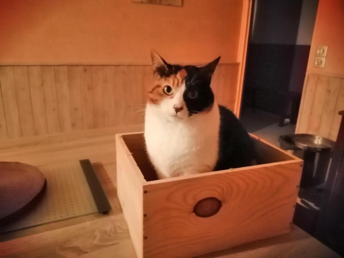 Grande Chambre D'Hote Proche Disneyland Et Parc Des Felins Guérard 外观 照片